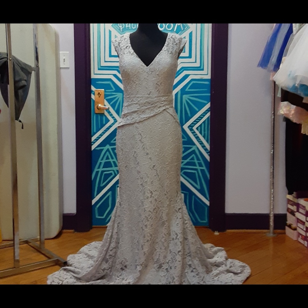 Alyce destinstion bridal. 
Size 6.  Light platinum